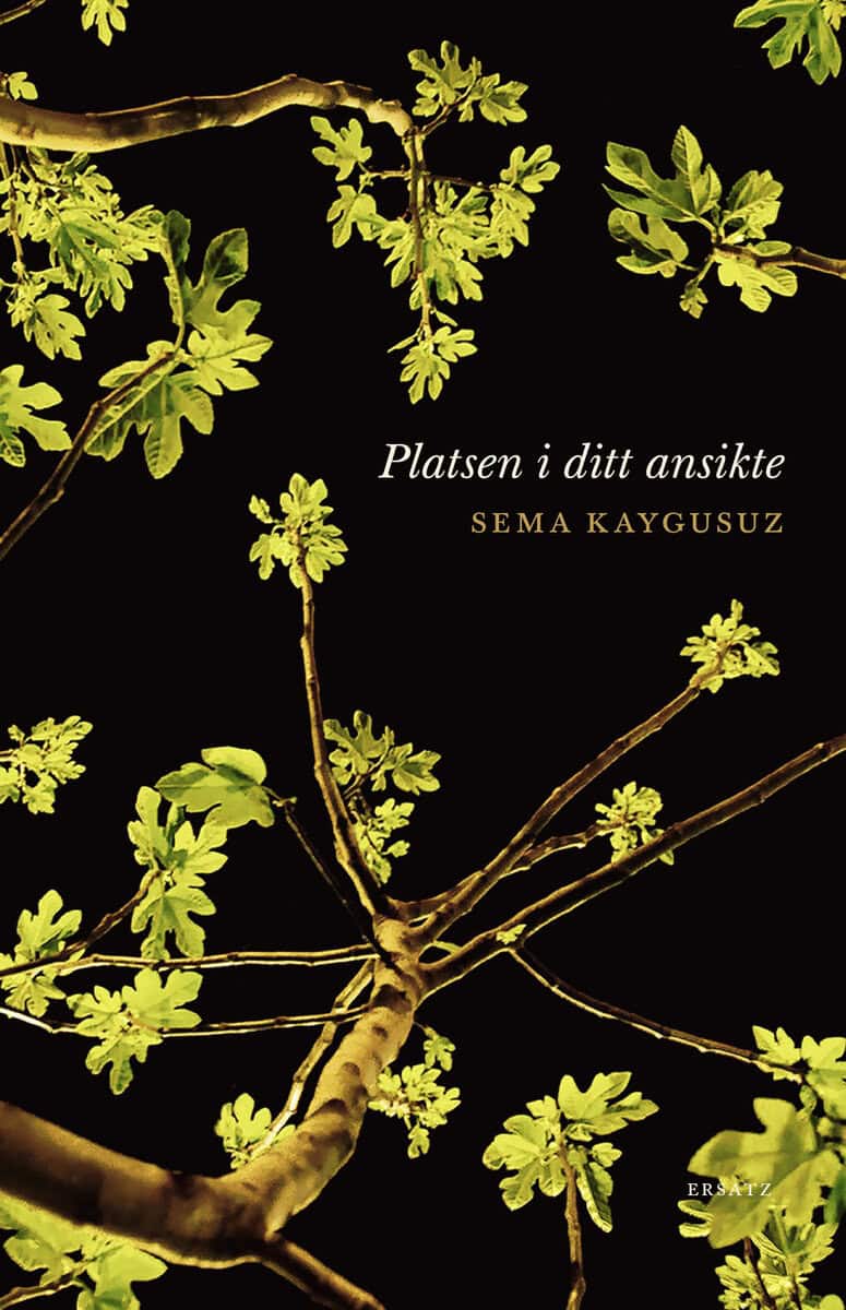 Sema Kaygusuz : Platsen i ditt ansikte