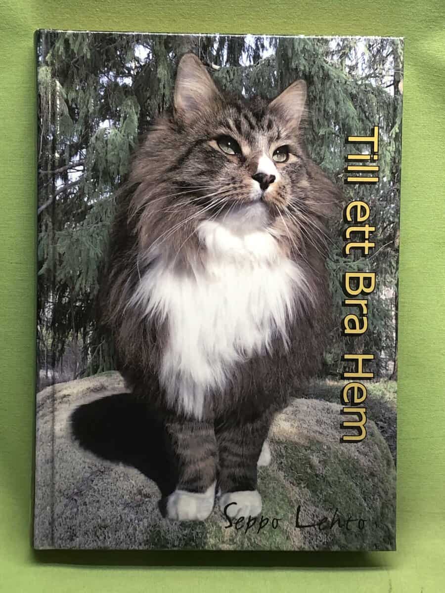 Seppo Lehto : Till ett bra hem