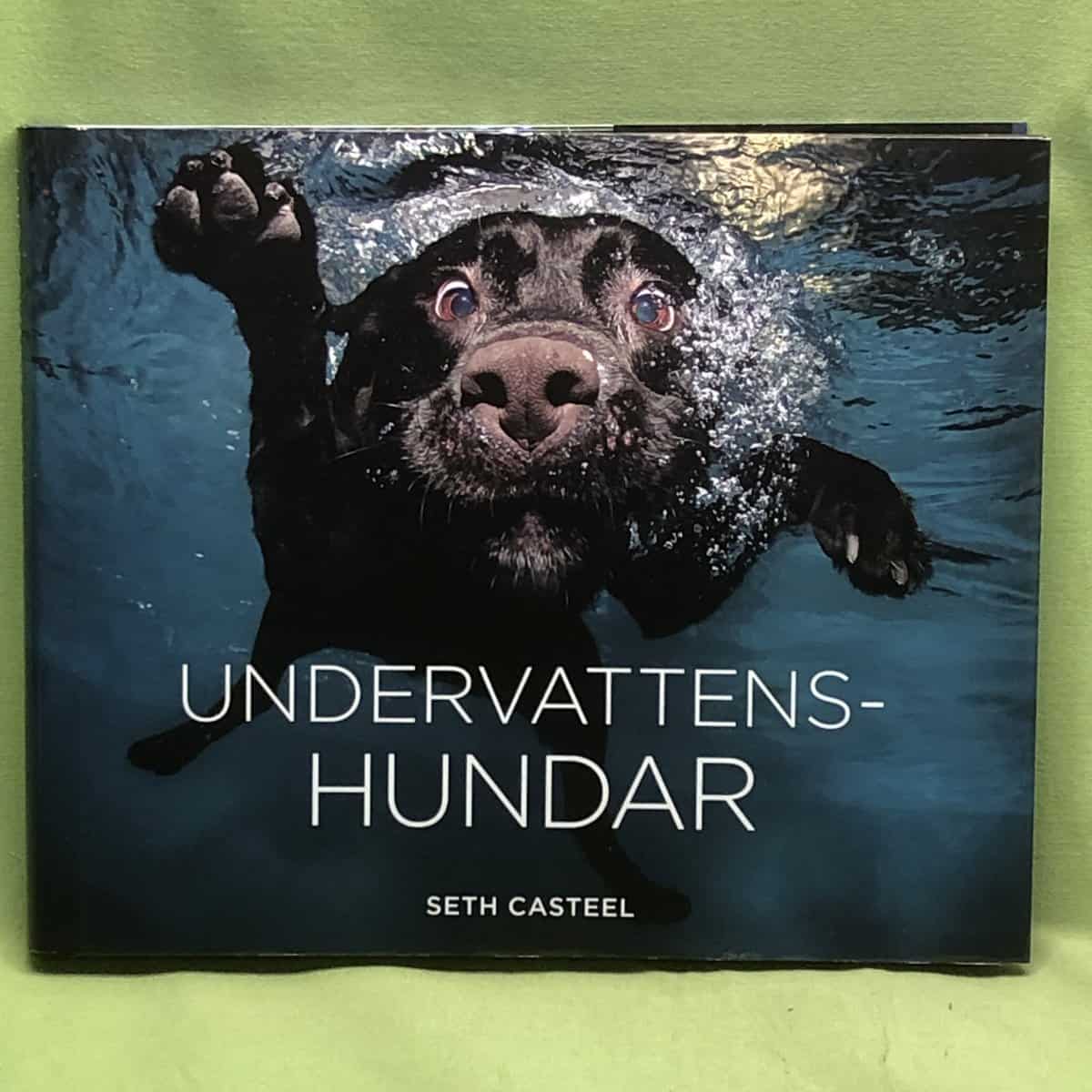 Seth Casteel : Undervattenshundra