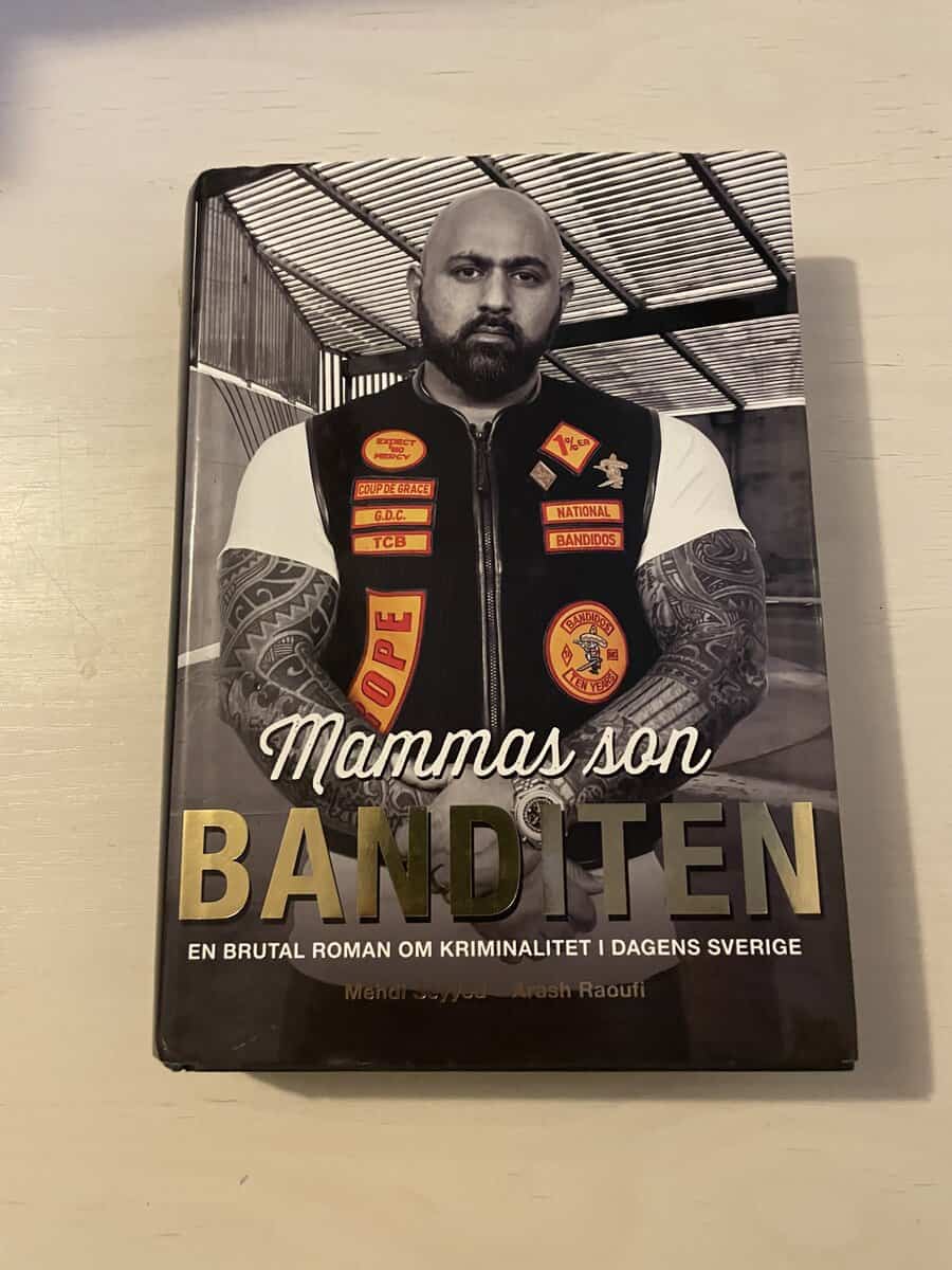 Seyyed, Mehdi, Raoufi, Arash : Mammas son banditen