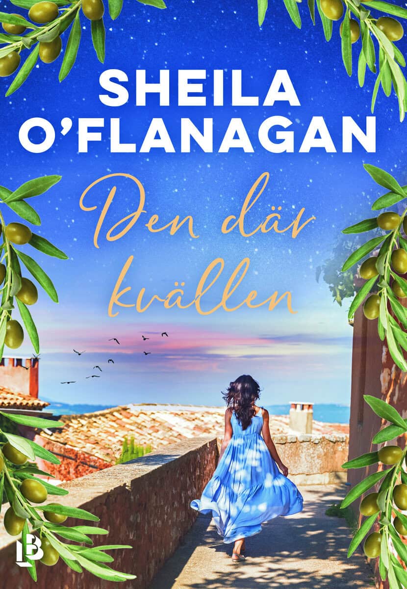 Sheila O'Flanagan : Den där kvällen