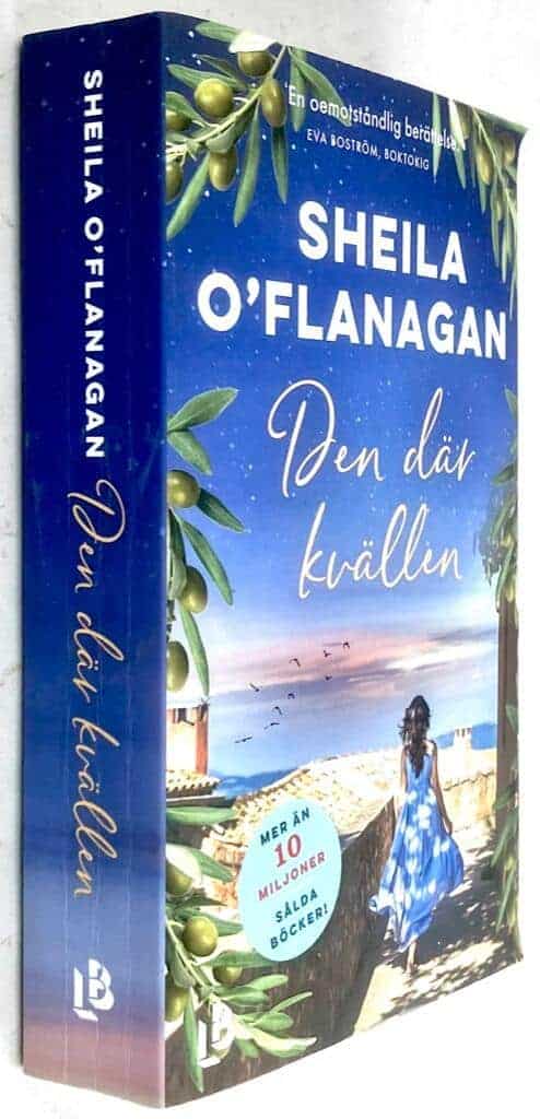 Sheila O'Flanagan : Den där kvällen