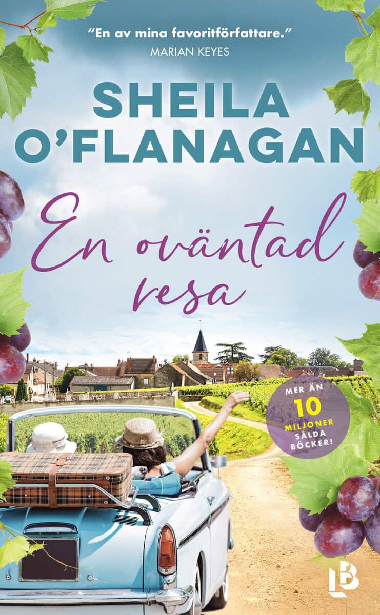 Sheila O’Flanagan : En oväntad resa