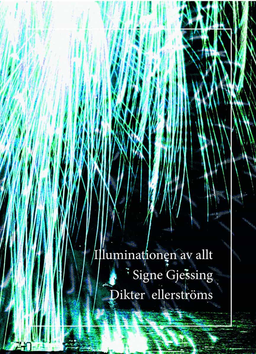 Signe Gjessing : Illuminationen av allt