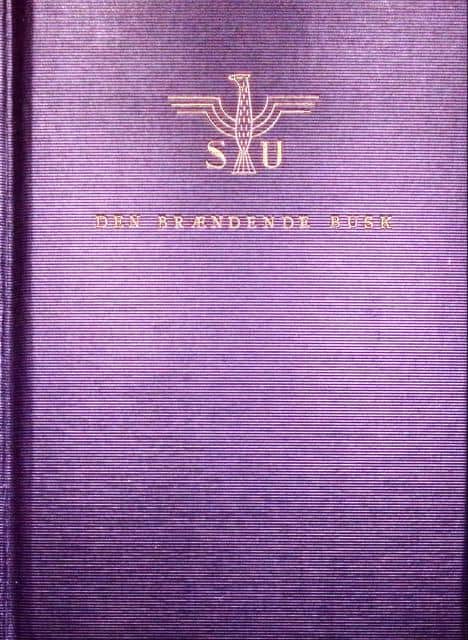 Sigrid Undsett : Den brændende busk. I - II.