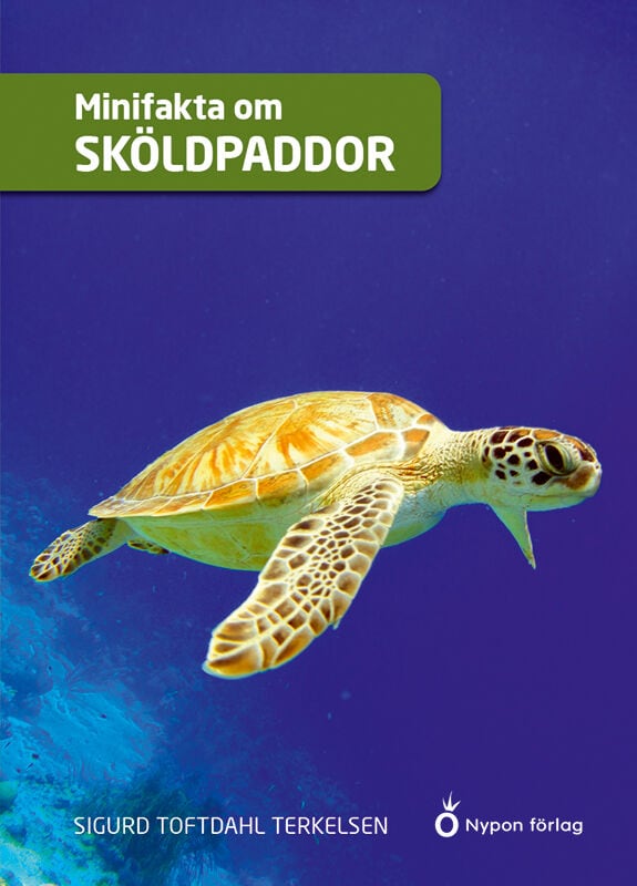 Sigurd Toftdahl Terkelsen : Minifakta om sköldpaddor