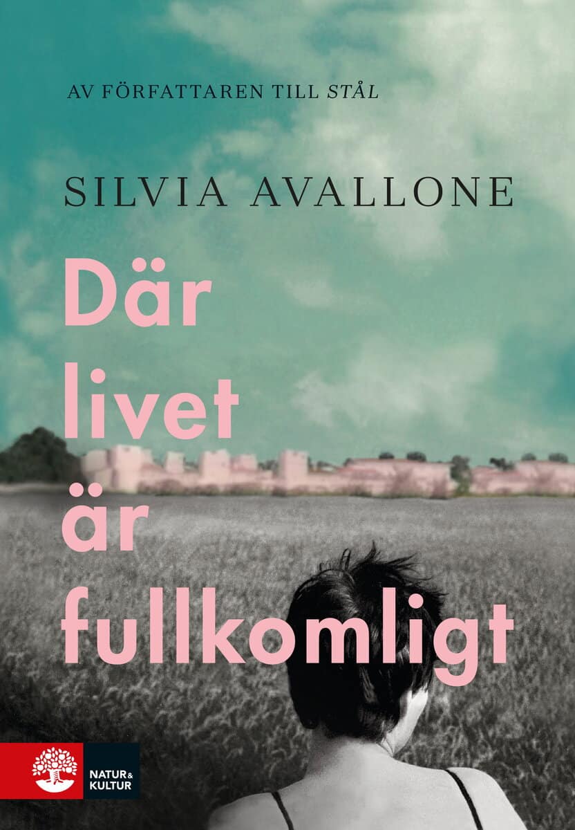 Silvia Avallone : Där livet är fullkomligt