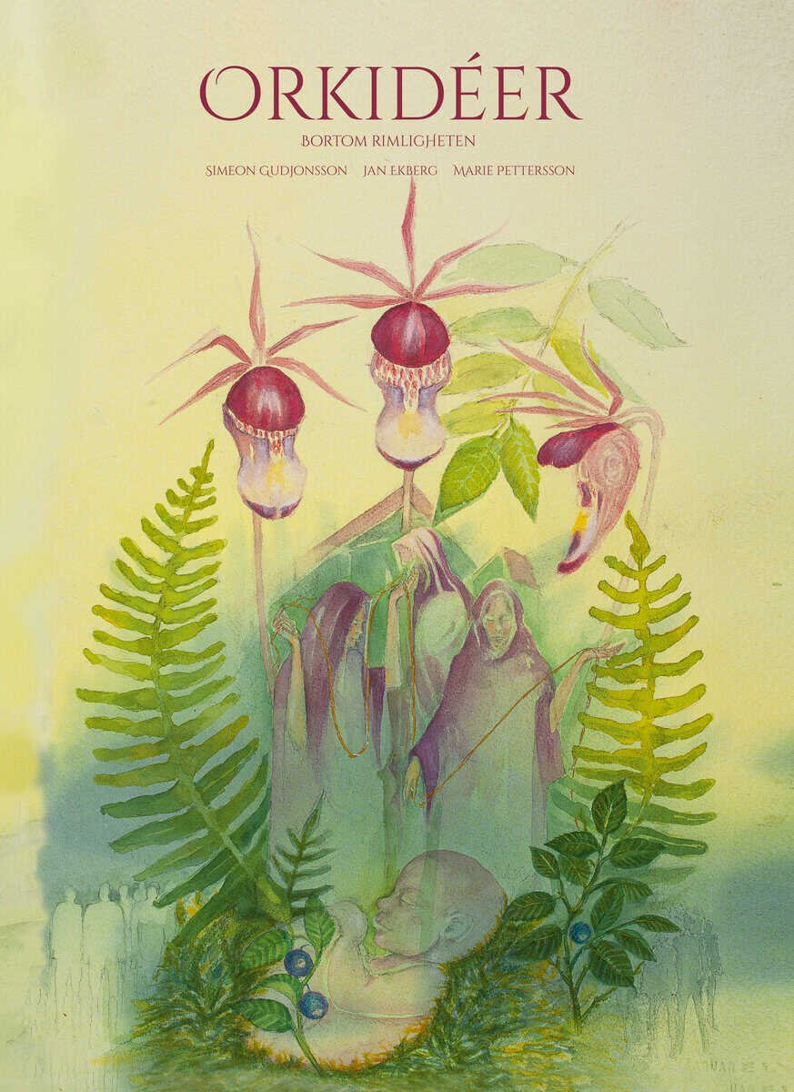 Simeon Gudjonsson : Orkidéer