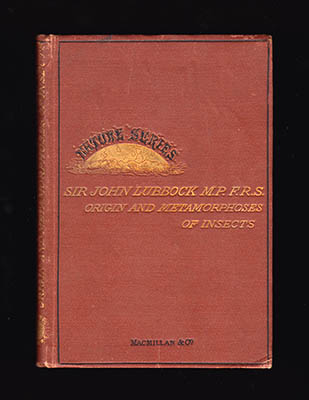 Sir John Lubbock : On the Origin and Metamorphoses of Insects. With numerous illustrations