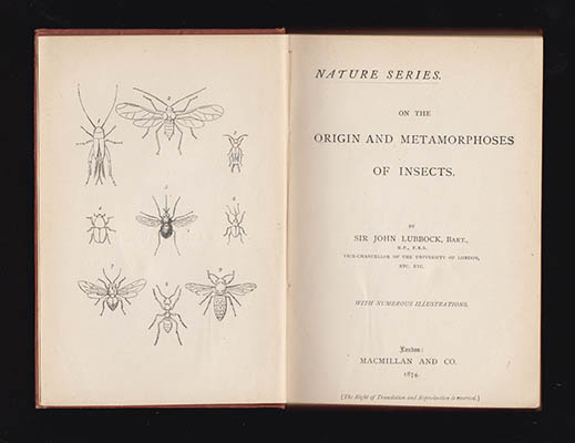 Sir John Lubbock : On the Origin and Metamorphoses of Insects. With numerous illustrations