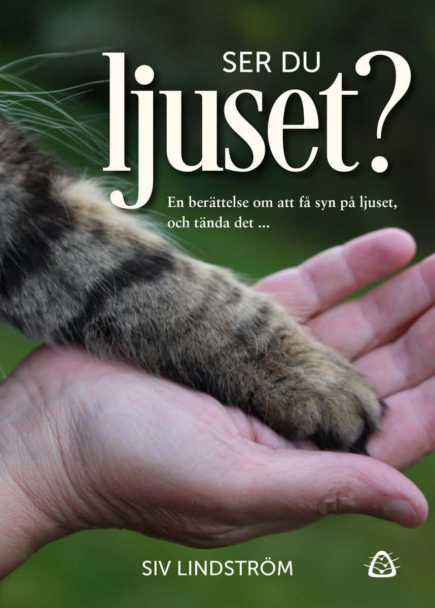 Siv Lindström : Ser du ljuset?