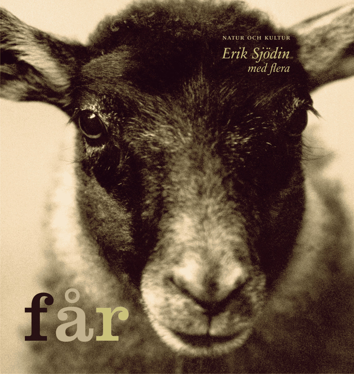 Sjödin, Erik ; Hammarberg, Karl-Erik ; Sundås, Sten : Får