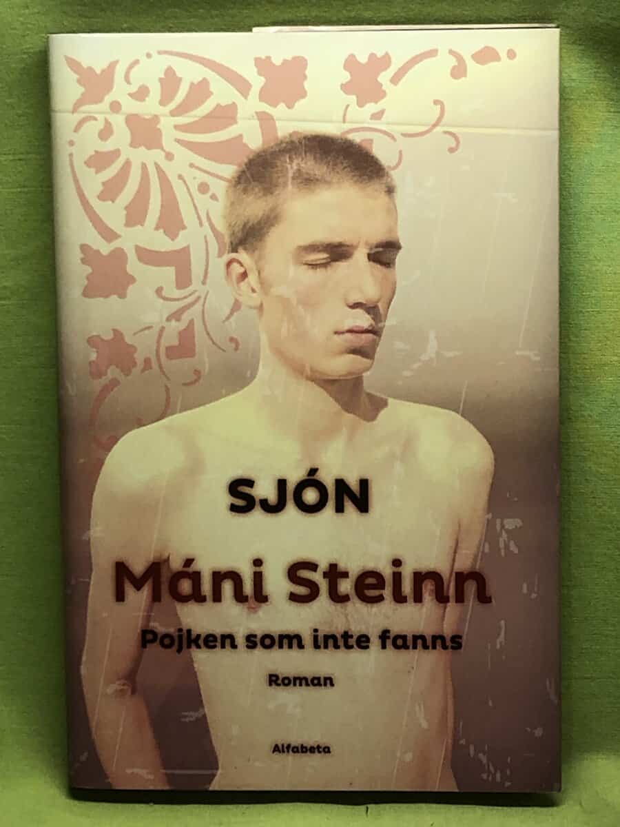 Sjón : Máni Steinn