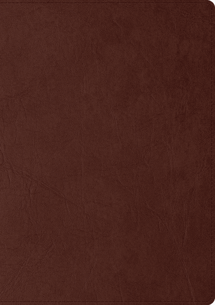 Skrivbok A5 PU linjerad brun