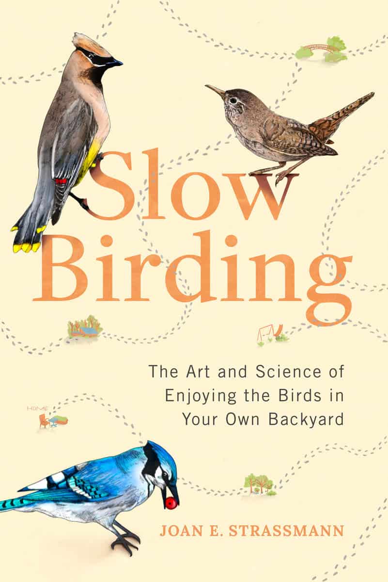 , : Slow Birding