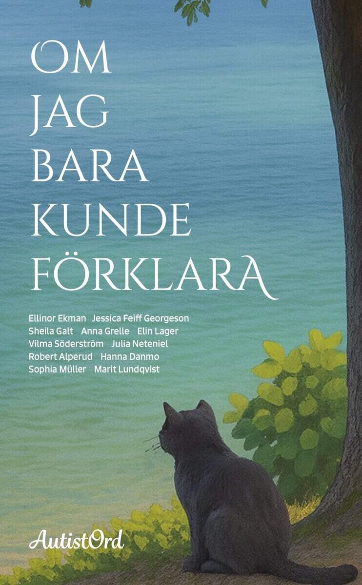 Söderström, Vilma ; Müller, Sophia ; Lundqvist, Marit ; Neteniel, Julia ; Grelle, Anna ; Lager, Elin ; Galt, Sheila ; Feiff Georgeson, Jessica ; Ekman, Ellinor ; Danmo, Hanna ; Alperud, Robert : Om jag bara kunde förklara
