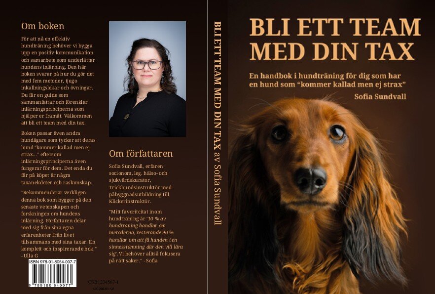 Sofia Sundvall : Bli ett team med din tax