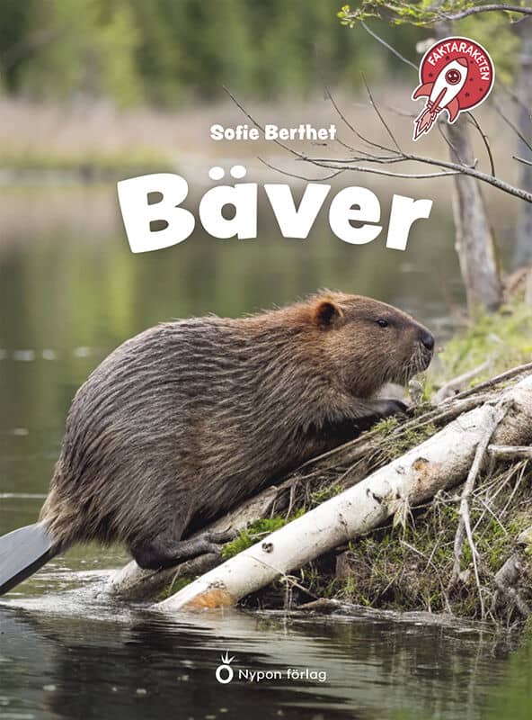 Sofie Berthet : Bäver