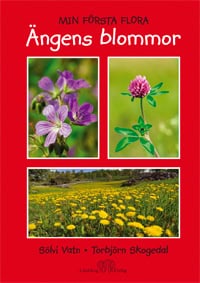 Sölvi Vatn : Ängens blommor