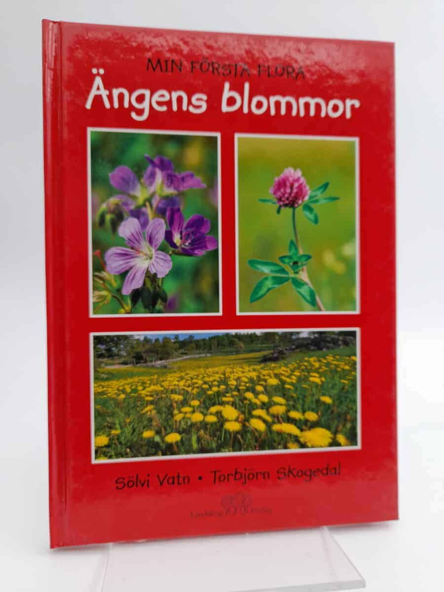 Sölvi Vatn : Ängens blommor