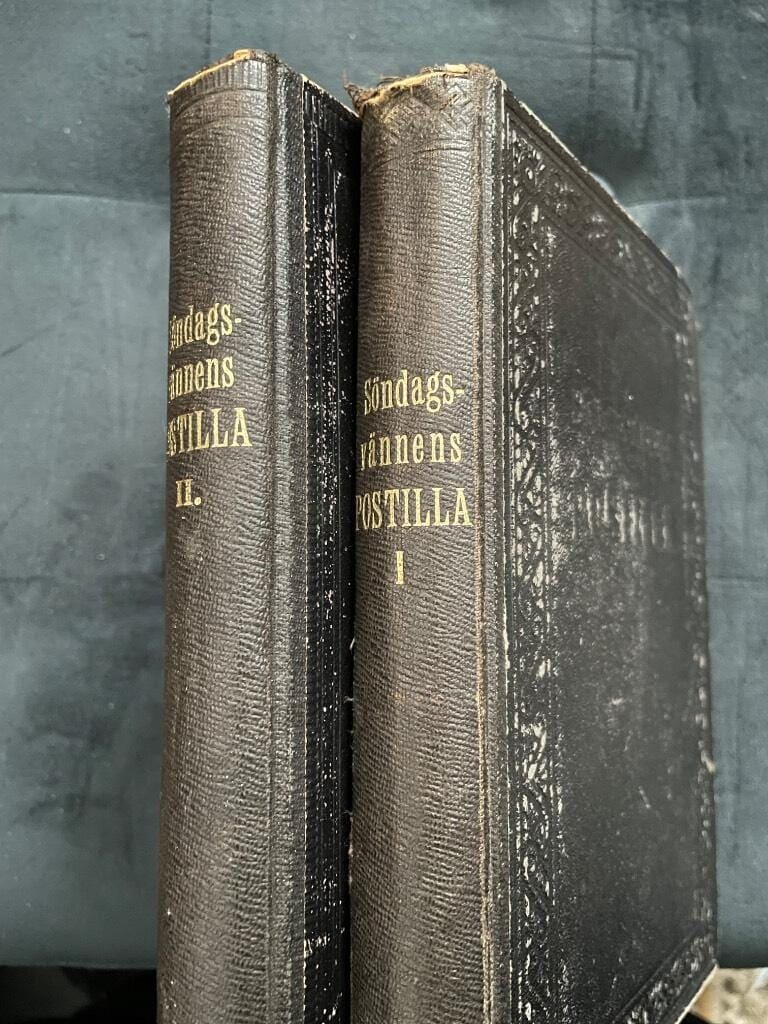 Söndagsvännens postilla