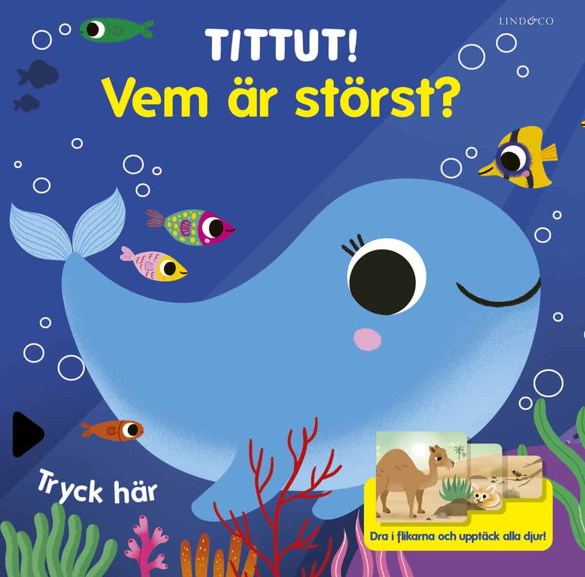 Sonia Baretti : Tittut! Vem är störst?