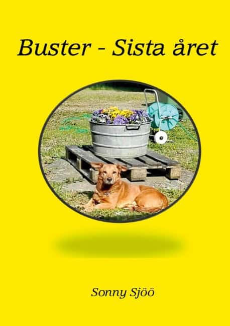 Sonny Sjöö : Buster - sista året