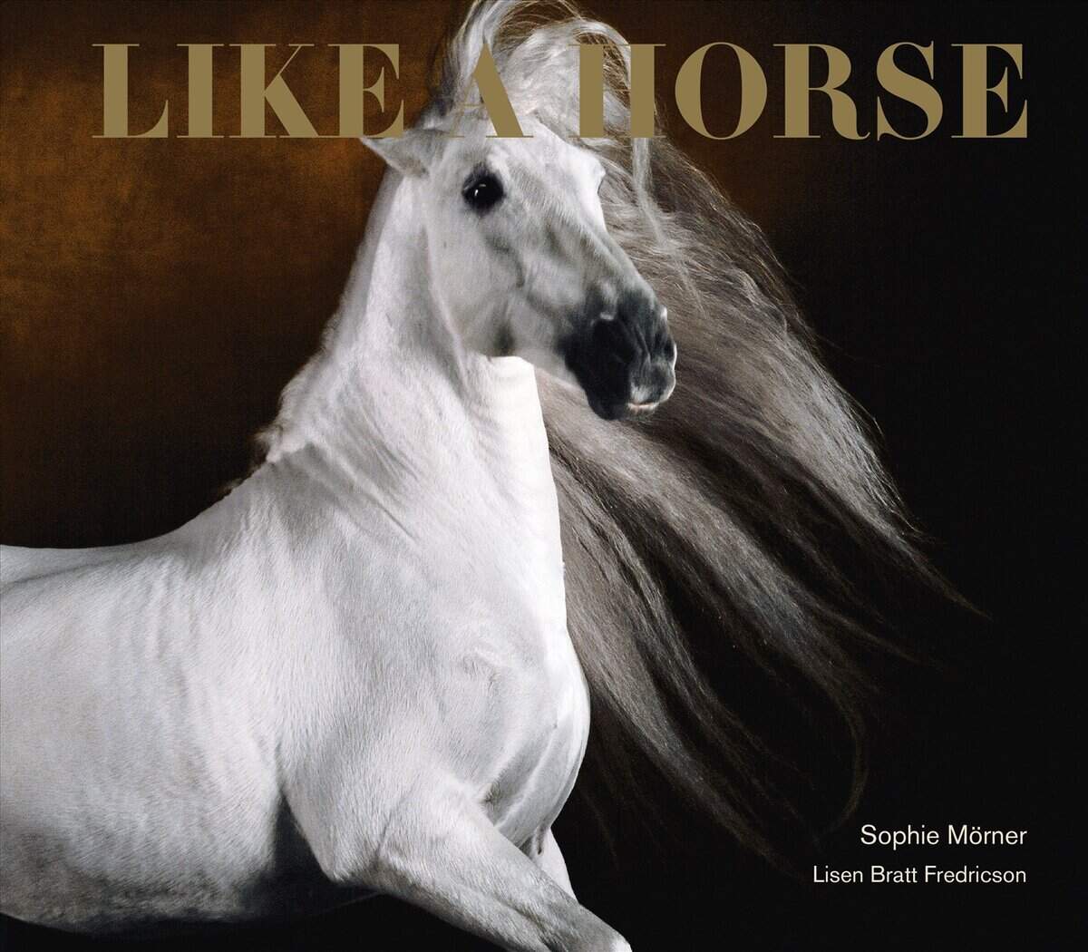 Mörner, Sophie ; Bratt Fredricson, Lisen : Like a horse