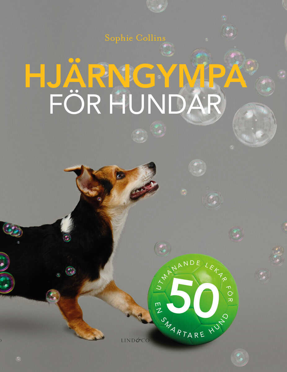 Sophie Collins : Hjärngympa för hundar : 50 utmanande lekar för en smartare hund
