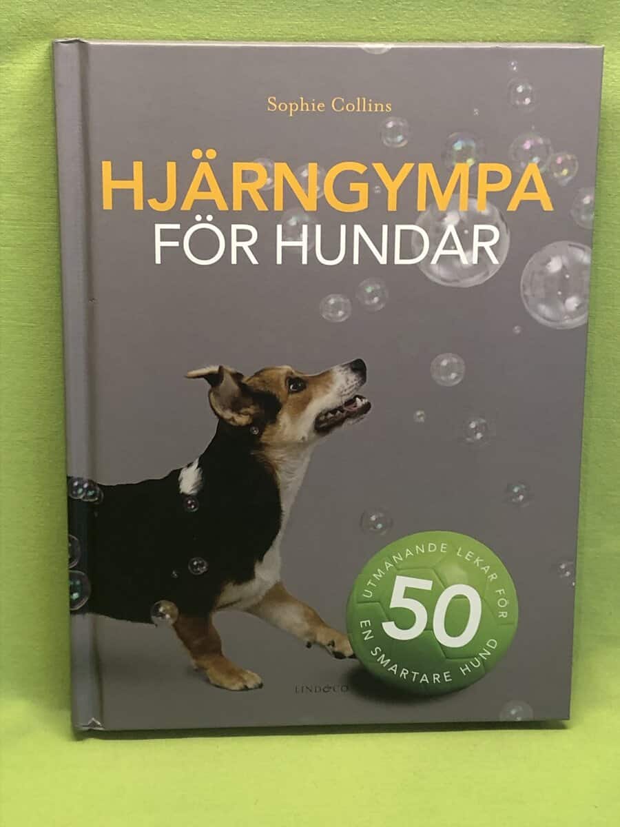 Sophie Collins : Hjärngympa för hundar