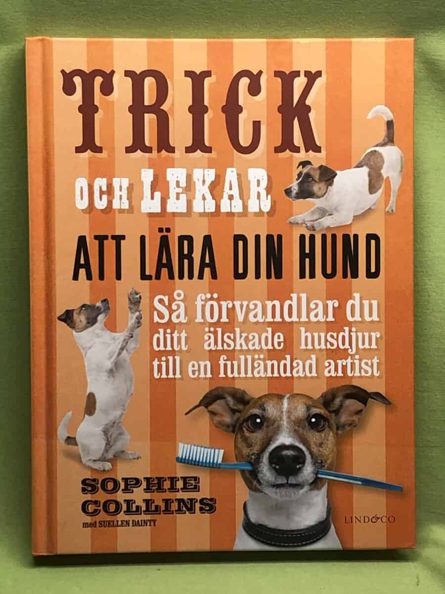 Collins, Sophie, Dainty, Suellen : Trick och lekar att lära din hund