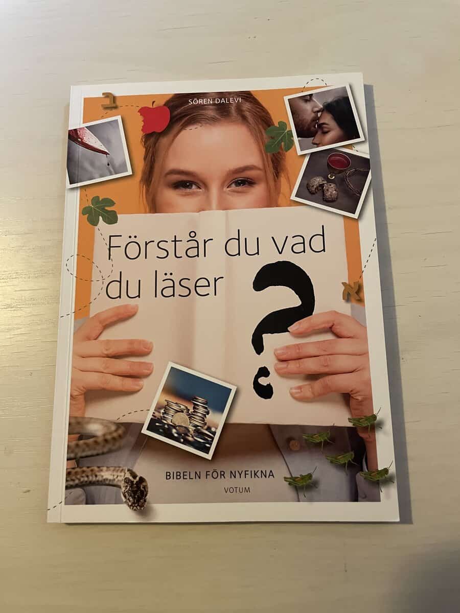 Sören Dalevi : Förstår du vad du läser? Bibeln för nyfikna