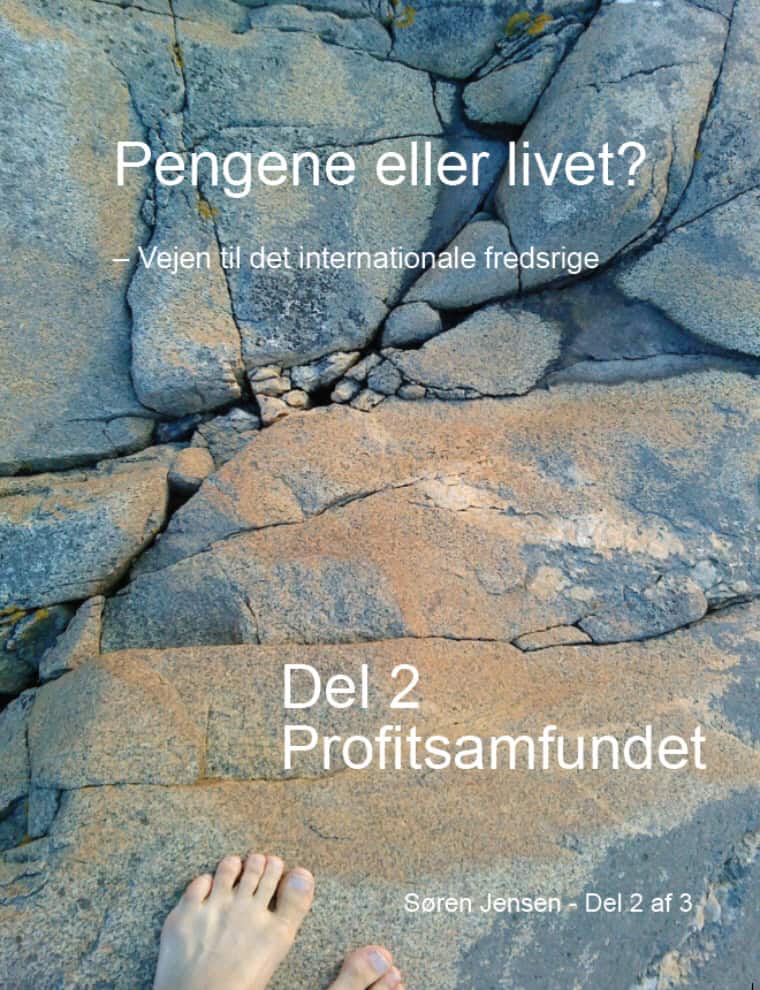 Sören Jensen : Profitsamfundet