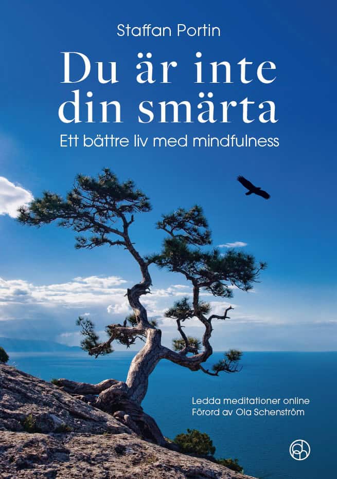 Staffan Portin : Du är inte din smärta : ett bättre liv med mindfulness