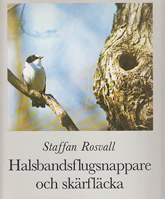 Staffan Rosvall : Halsbandsflugsnappare och skärfläcka