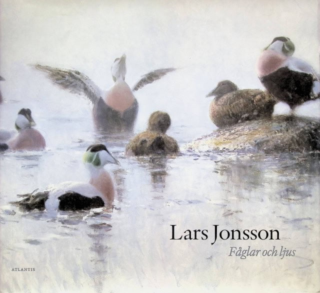 Hans Henrik Brummer, Staffan Söderblom, Lars Jonsson : Fåglar och ljus