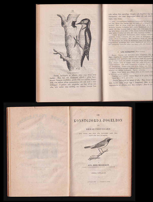 Stål, Carl (1833-1878) ; Holmgren, August Emil (1829-1888) ; Olivecrona, Knut (1817-1905) : Om Colorado-skalbaggen (Chrysomela decemlineata) en för potatisodlingen högst skadlig Nordamerikansk insekt, och om hans befarade öfverförande till Europa (samlingsband med 3 arbeten)