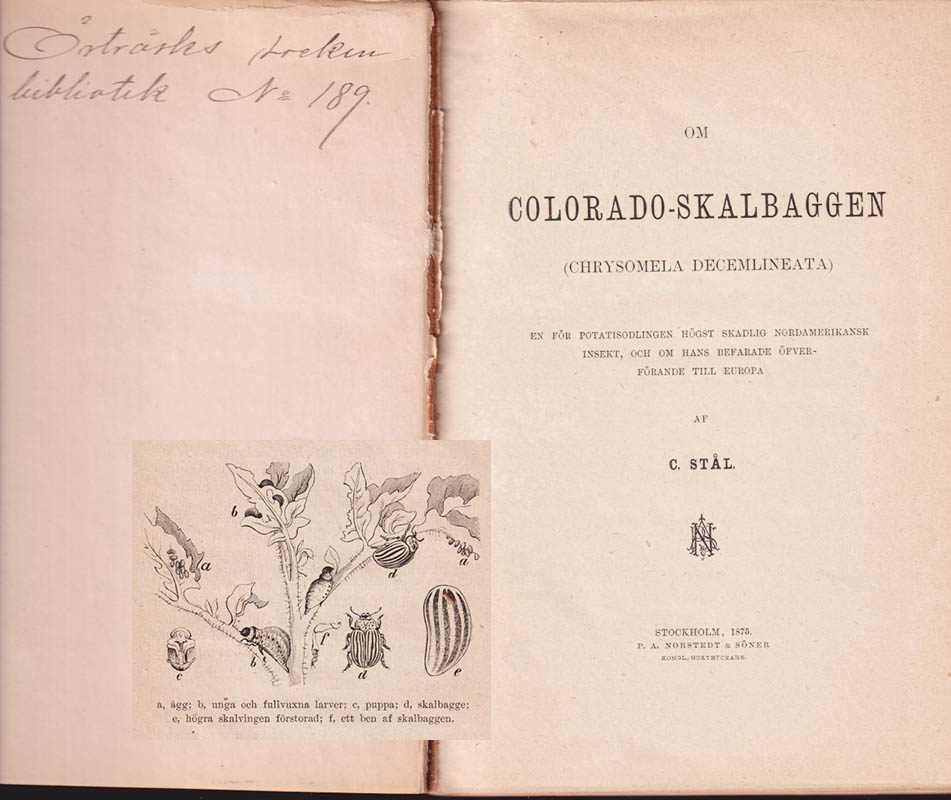 Stål, Carl (1833-1878) ; Holmgren, August Emil (1829-1888) ; Olivecrona, Knut (1817-1905) : Om Colorado-skalbaggen (Chrysomela decemlineata) en för potatisodlingen högst skadlig Nordamerikansk insekt, och om hans befarade öfverförande till Europa (samlingsband med 3 arbeten)