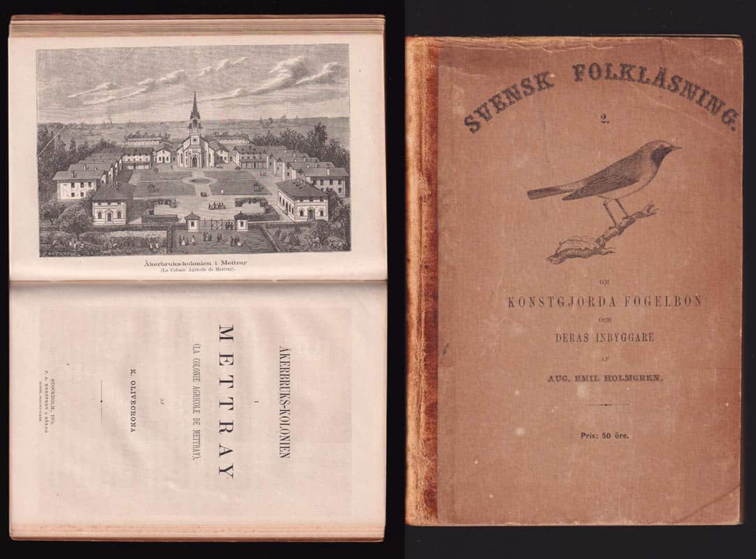 Stål, Carl (1833-1878) ; Holmgren, August Emil (1829-1888) ; Olivecrona, Knut (1817-1905) : Om Colorado-skalbaggen (Chrysomela decemlineata) en för potatisodlingen högst skadlig Nordamerikansk insekt, och om hans befarade öfverförande till Europa (samlingsband med 3 arbeten)