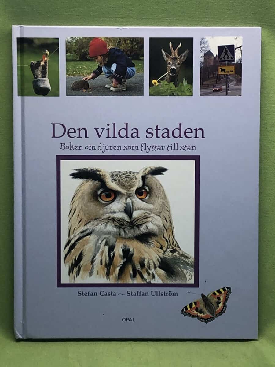 Stefan Casta : Den vilda staden