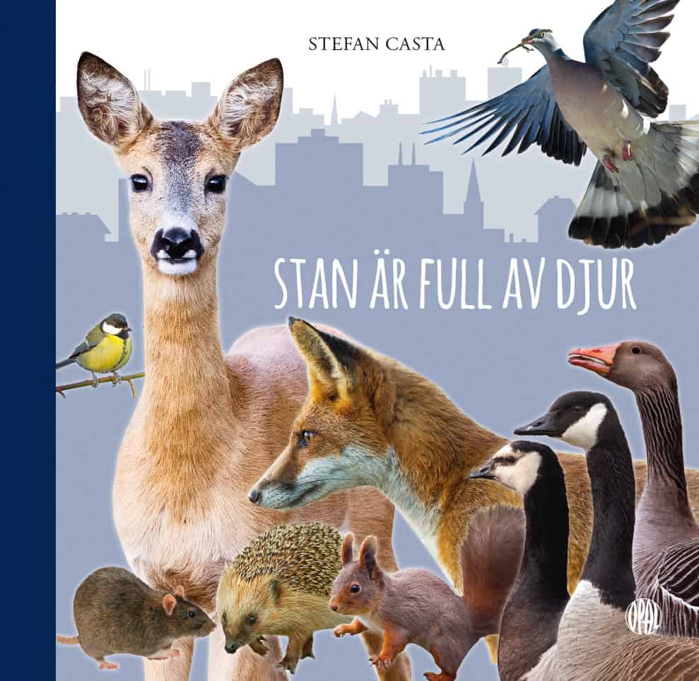Stefan Casta : Stan är full av djur