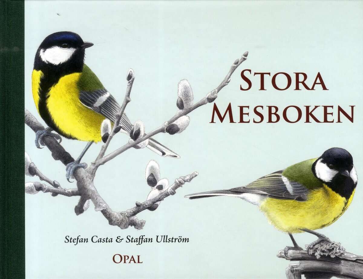 Stefan Casta : Stora mesboken