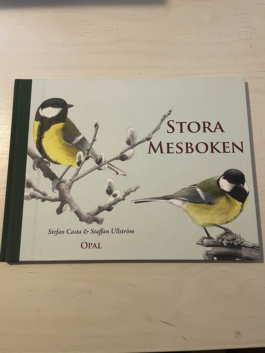 Stefan Casta : Stora mesboken