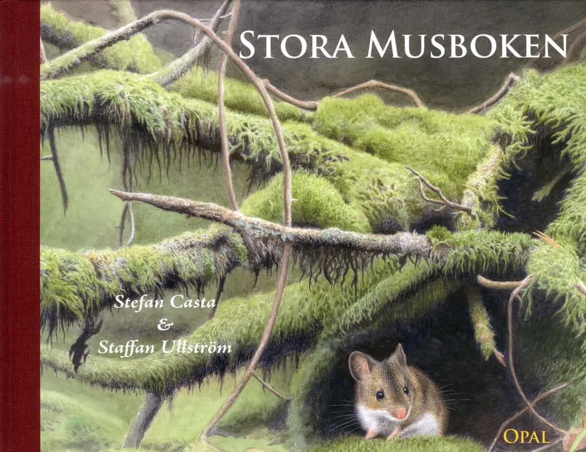 Stefan Casta : Stora musboken
