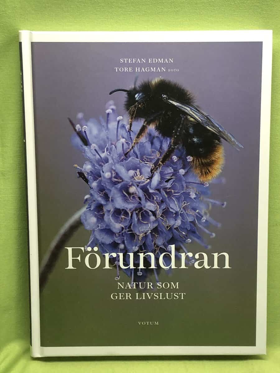 Stefan Edman : Förundran