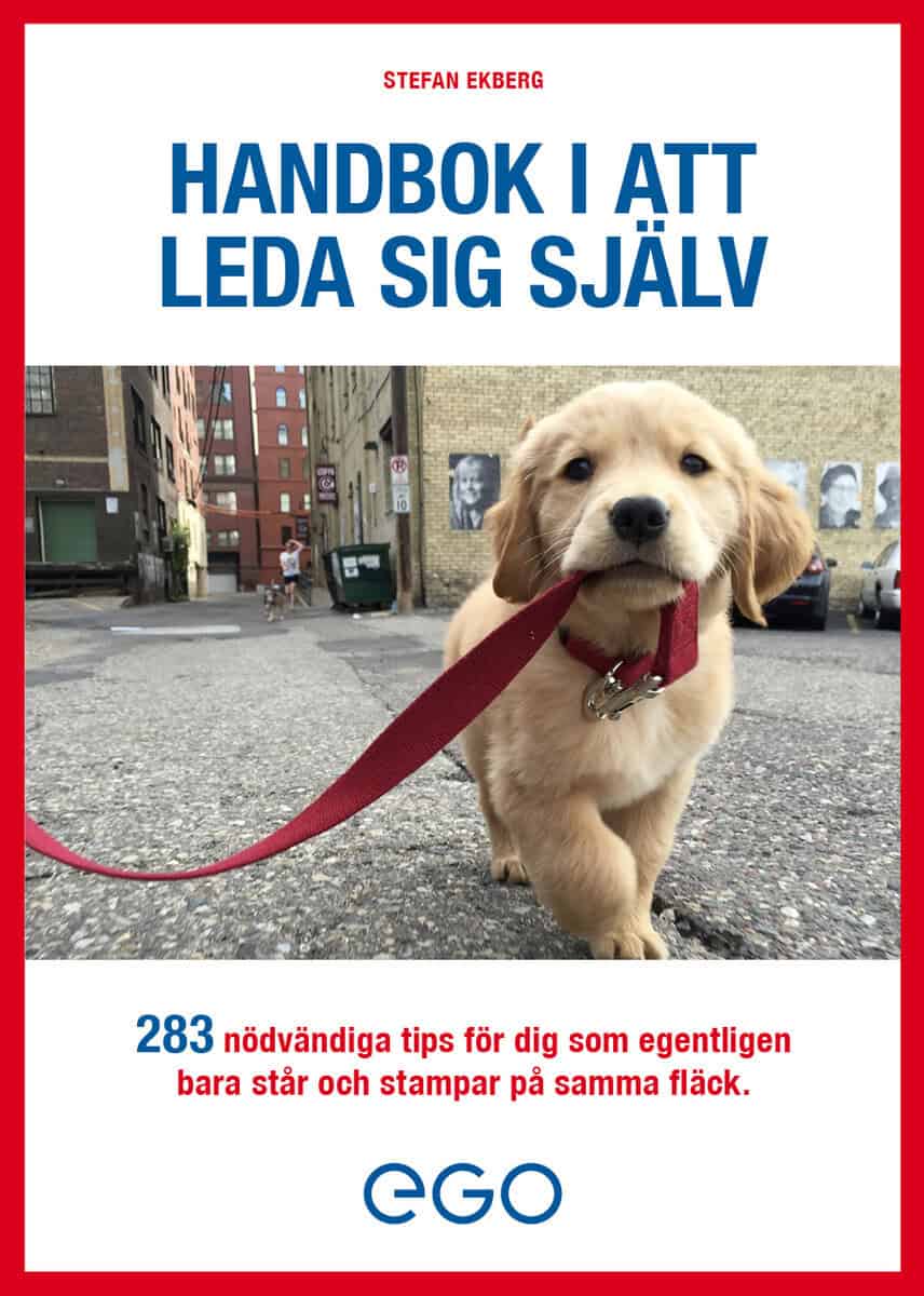 Stefan Ekberg : Handbok i att leda sig själv