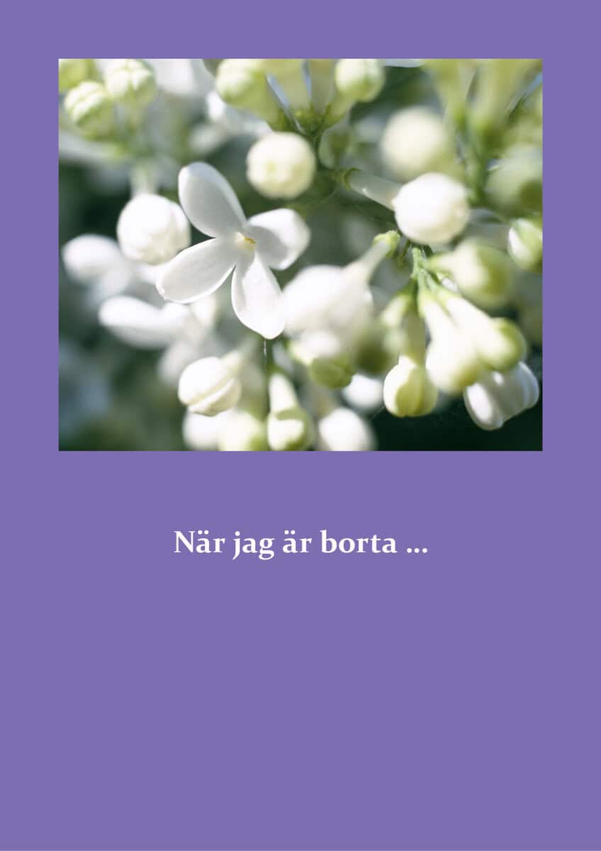 Stefan Ekberg : När jag är borta...