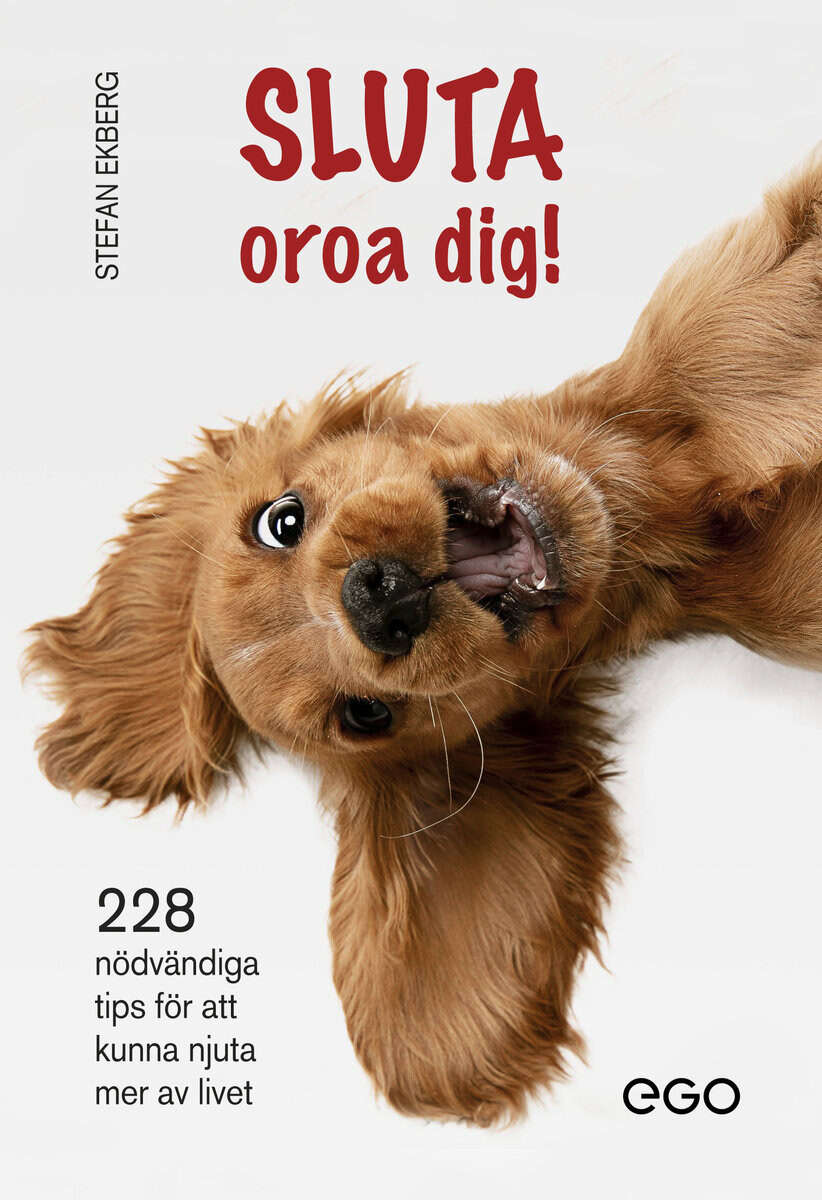 Stefan Ekberg : Sluta oroa dig