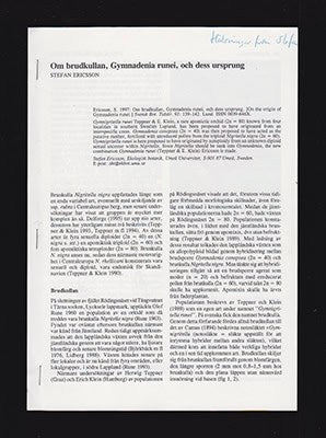 Stefan Ericsson : Om brudkullan, Gymnadenia runei, och dess urskrung