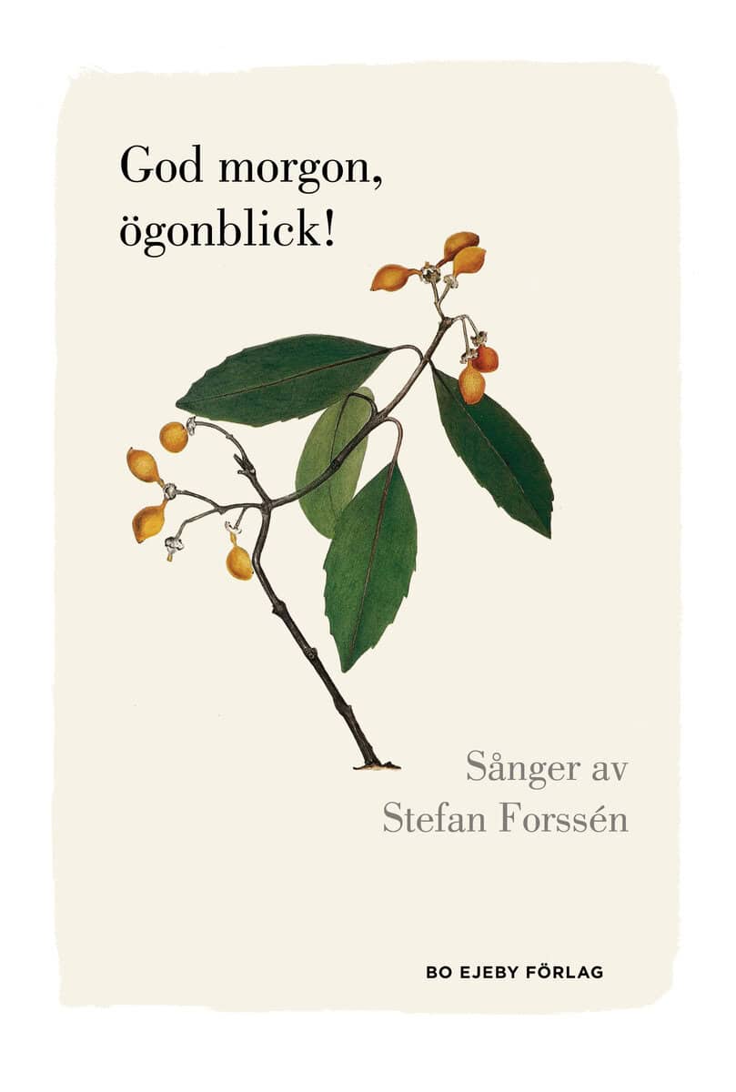 Stefan Forssén : God morgon, ögonblick!